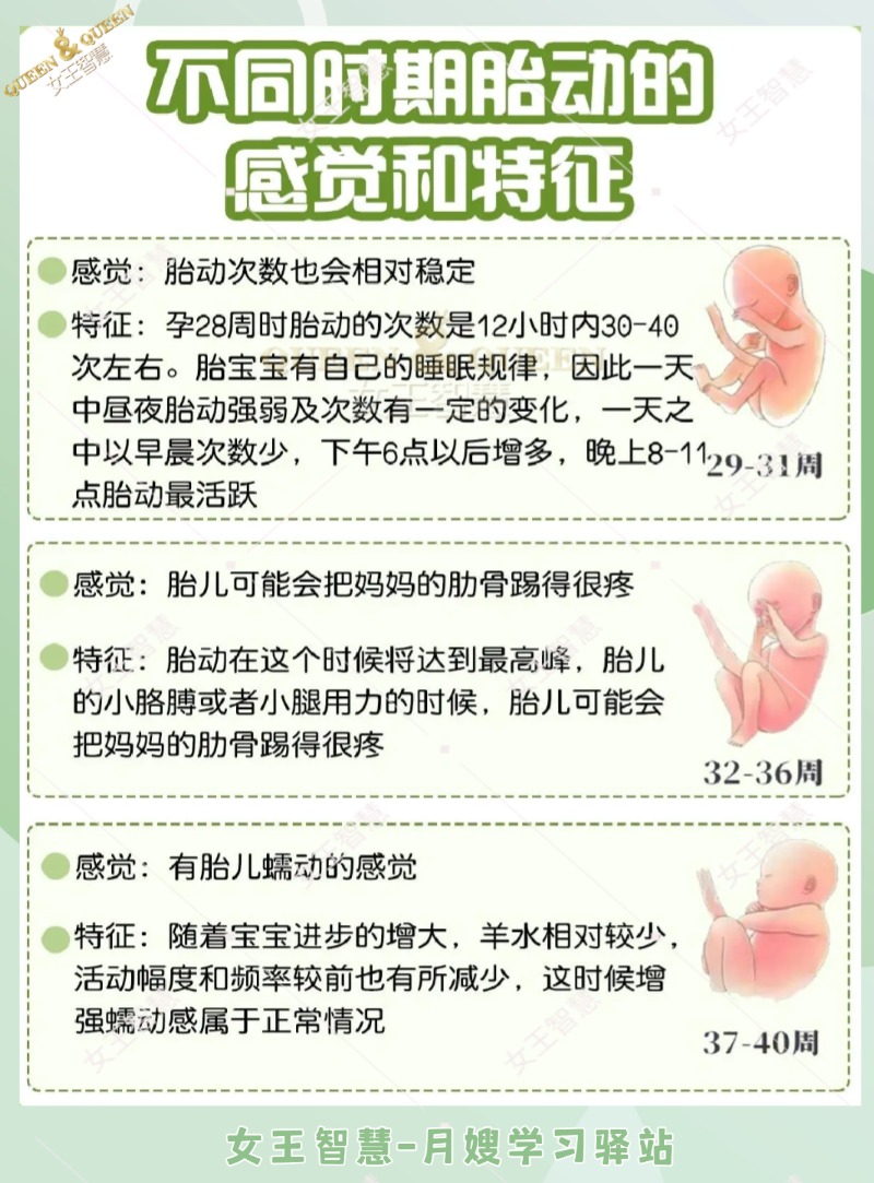 45ce7cf8588b154a1f47991968b4dccb.jpg