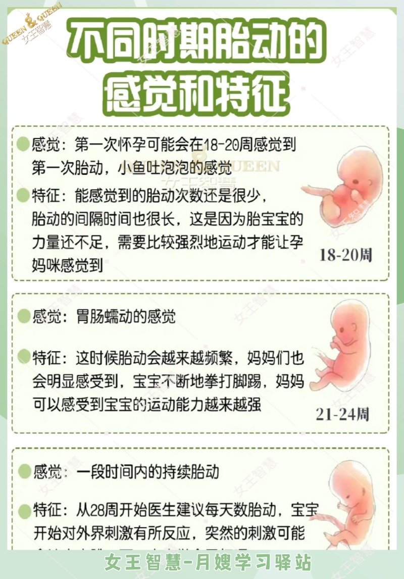 499de85b94a29c446253d80ac577a217.jpg