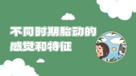 不同时期胎动的感觉和特征